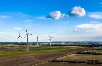 Local climate conditions